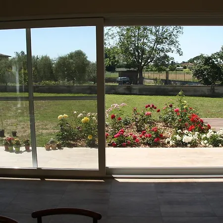 Casa Fischer *